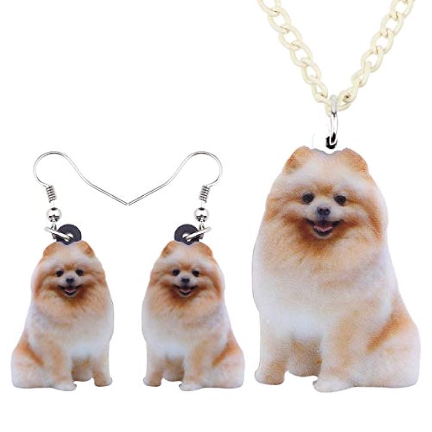 DUOWEI Parure de bijoux en acrylique pour chien - Cadeaux mignons pour femmes et filles - Pour les amoureux des chiens Z19lolZ7
